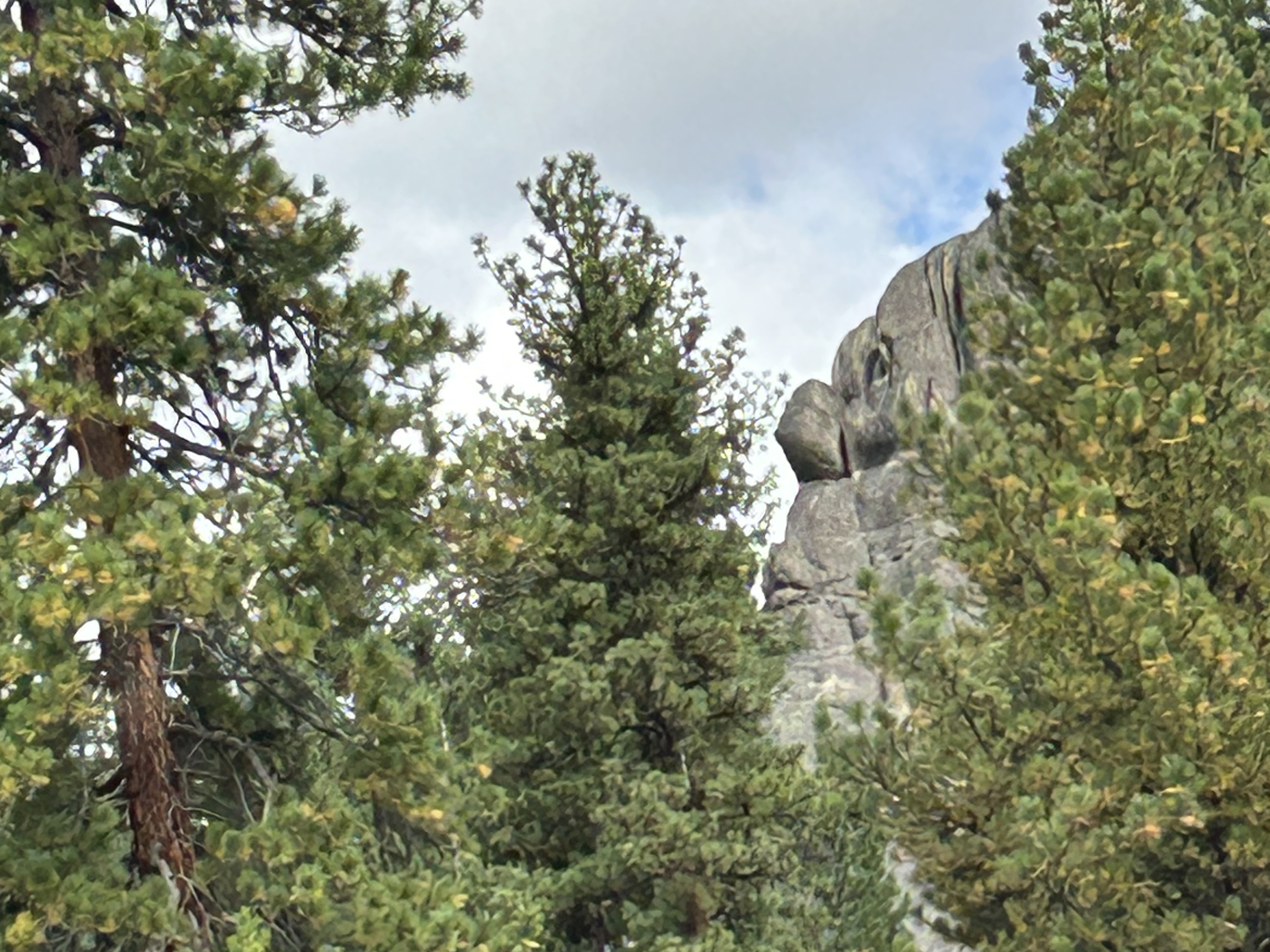 Face in the rock at Hot Springs.jpg